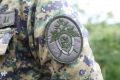 В Магаданской области по сообщению средств массовой информации проводится доследственная проверка по факту получения ребенком травмы в результате нападения собаки