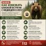 Идете в лес? Запомните 5 правил безопасности: