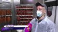 Как на местном производстве контролируют качество колбасных изделий, и почему продукция не залеживается на полках магазинов