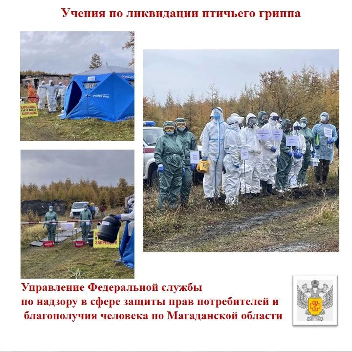 Учения по ликвидации птичьего гриппа в Магаданской области