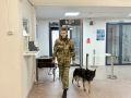 На Колыме полицейские обеспечили правопорядок в период подготовки и проведения единого дня голосования