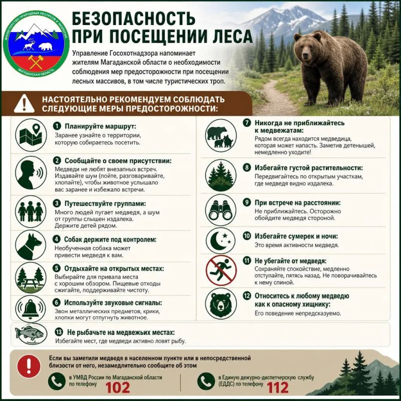 БЕЗОПАСНОСТЬ В ЛЕСУ: Правила поведения в местах обитания медведей