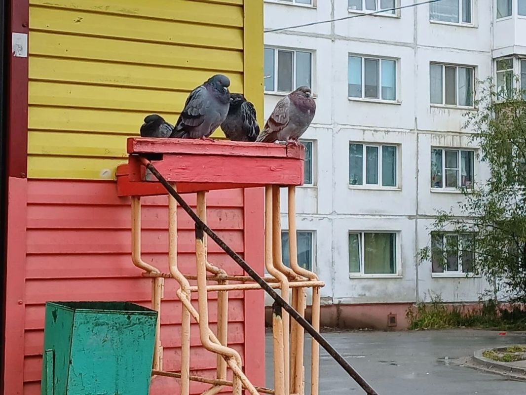 В Магадане +7, +9°C, слабый ветер