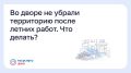 Во дворе не убрали территорию после летних работ