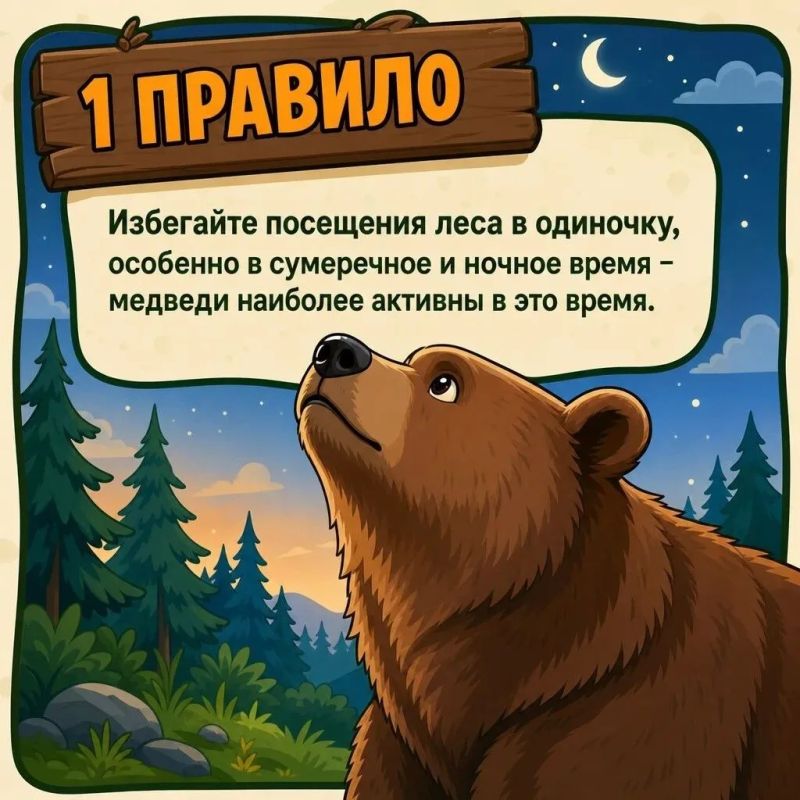 Отправляясь на природу, помните о главном: соблюдайте осторожность, старайтесь путешествовать группами, шумите, избегайте зарослей и всегда убирайте мусор Отправляясь на природу, помните о главном: соблюдайте осторожность, старайтесь путешествовать группами, шумите, избегайте зарослей и всегда убирайте мусор