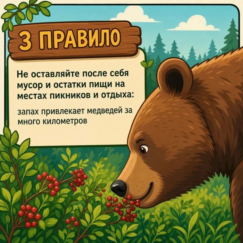 Отправляясь на природу, помните о главном: соблюдайте осторожность, старайтесь путешествовать группами, шумите, избегайте зарослей и всегда убирайте мусор Отправляясь на природу, помните о главном: соблюдайте осторожность, старайтесь путешествовать группами, шумите, избегайте зарослей и всегда убирайте мусор