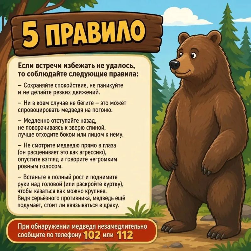 Отправляясь на природу, помните о главном: соблюдайте осторожность, старайтесь путешествовать группами, шумите, избегайте зарослей и всегда убирайте мусор Отправляясь на природу, помните о главном: соблюдайте осторожность, старайтесь путешествовать группами, шумите, избегайте зарослей и всегда убирайте мусор