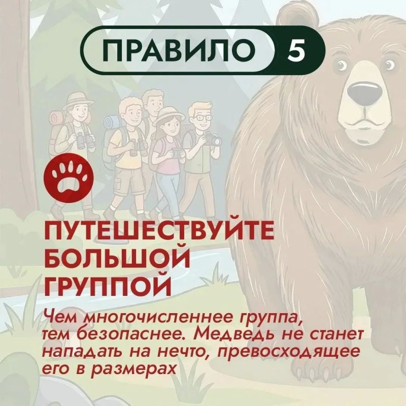 На Дальнем Востоке бурый медведь – хозяин территорий На Дальнем Востоке бурый медведь – хозяин территорий
