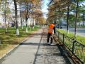 Устройство и рекультивация газонов, мойка дорог, уборка тротуаров