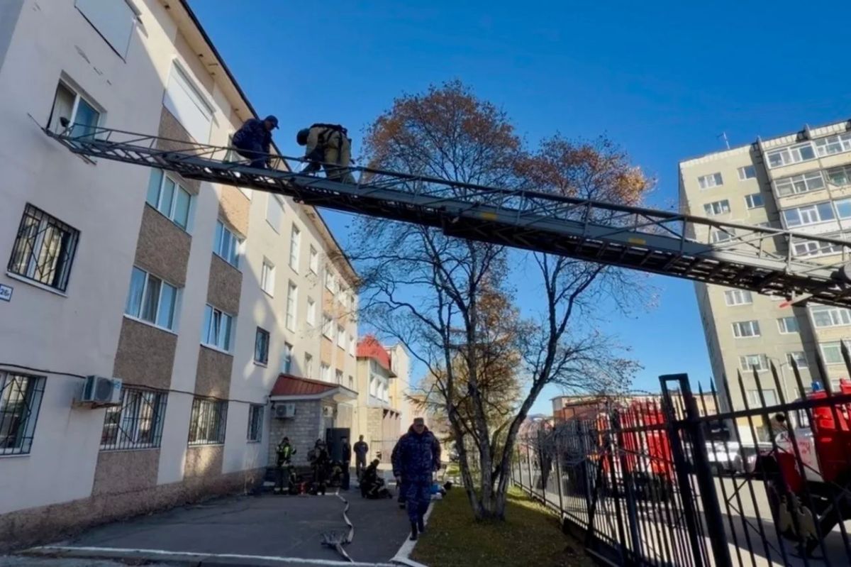 Условный пожар, реальные навыки: Росгвардия и МЧС провели совместную тренировку в Магадане Условный пожар, реальные навыки: Росгвардия и МЧС провели совместную тренировку в Магадане