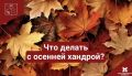 ������� ������: ��������������� ������ ������ ���� � �������
