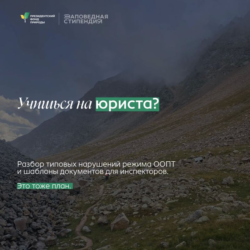 Студенты еще могут побороться за стипендии Президентского фонда природы Студенты еще могут побороться за стипендии Президентского фонда природы