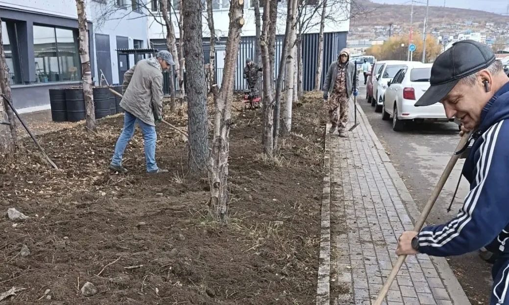 Лариса Поликанова: Итоги сентября: специалисты КЗХ до первого снега успели высадить более 360 кустов, 110 деревьев и рекультивировать около 4 тысяч кв. м газонов Лариса Поликанова: Итоги сентября: специалисты КЗХ до первого снега успели высадить более 360 кустов, 110 деревьев и рекультивировать около 4 тысяч кв. м газонов