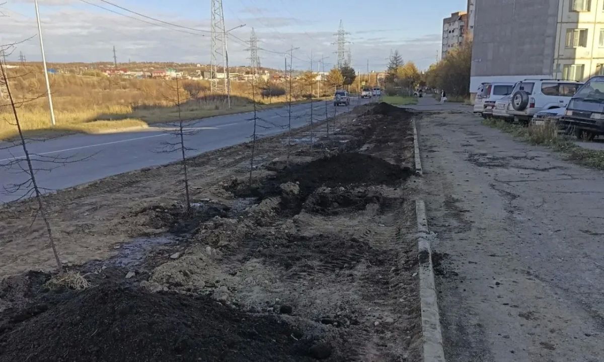 Лариса Поликанова: Итоги сентября: специалисты КЗХ до первого снега успели высадить более 360 кустов, 110 деревьев и рекультивировать около 4 тысяч кв. м газонов Лариса Поликанова: Итоги сентября: специалисты КЗХ до первого снега успели высадить более 360 кустов, 110 деревьев и рекультивировать около 4 тысяч кв. м газонов