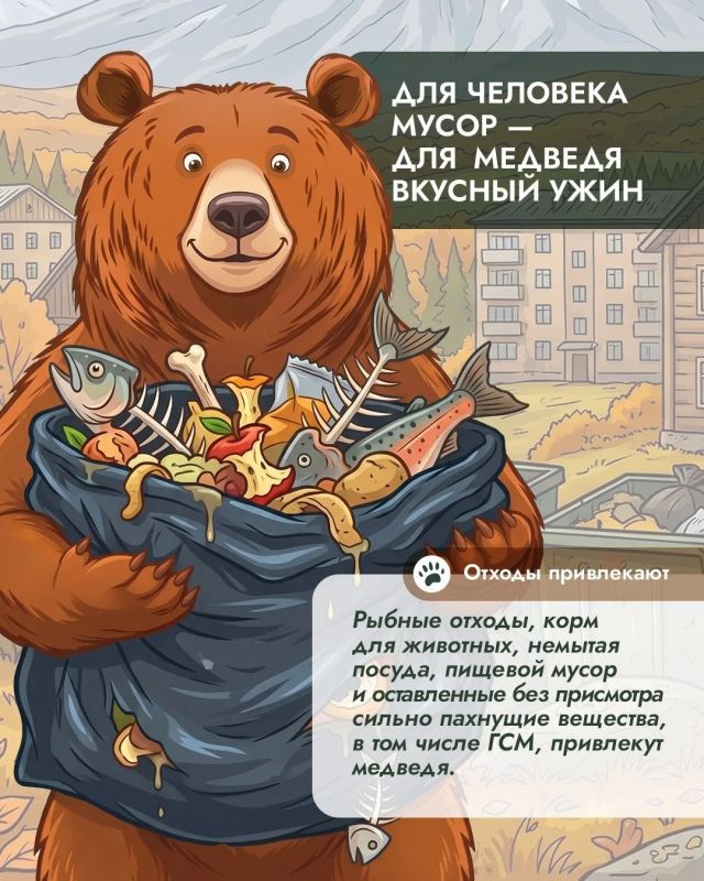 Почему осенью медведи оказываются рядом с людьми чаще? Почему осенью медведи оказываются рядом с людьми чаще?