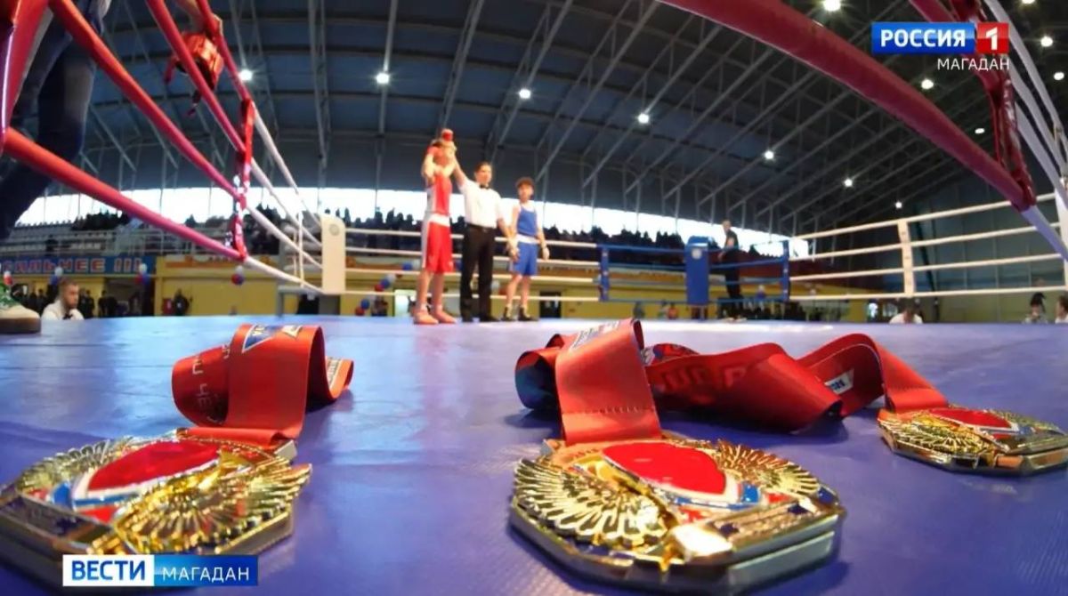 Стартовали XXlV соревнования по боксу памяти Евгения Бурмистрова