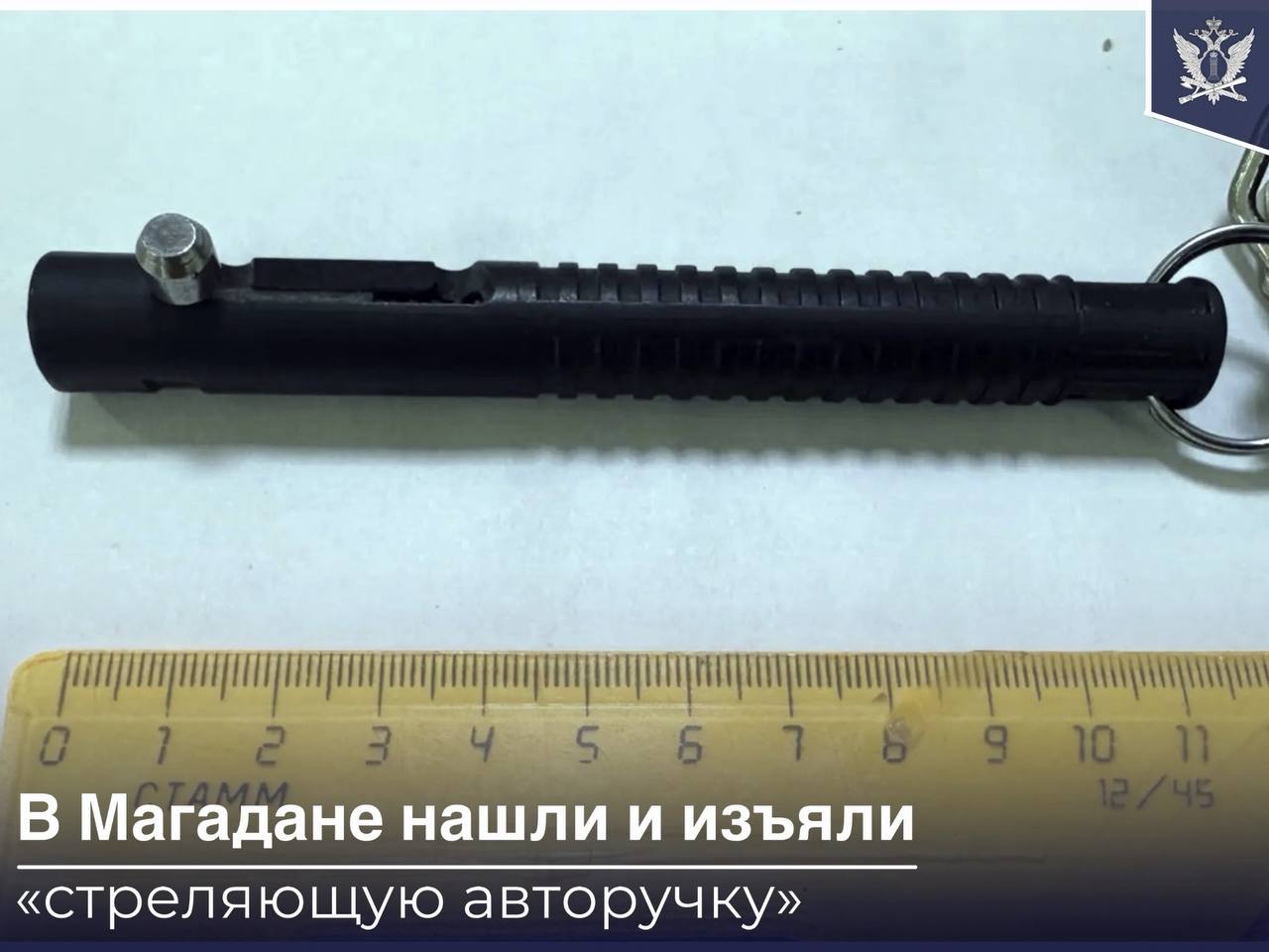 Необычный предмет изъяли у посетителя суда судебные приставы по ОУПДС в Магаданской области